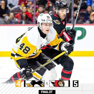 Image post by @penguins on Instagram