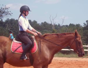 Image post by @appalachianequestrian on Instagram