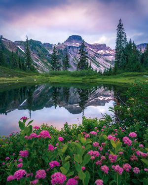 Image post by @nationalparkscollective on Instagram