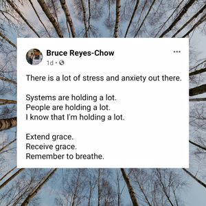 Image post by @breyeschow on Instagram