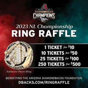 Image post by @dbacksgiveback on Instagram