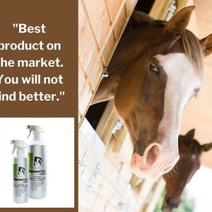 Image post by @equinecareprobiotic on Instagram