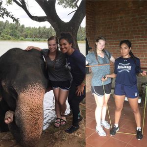 Image post by @yalesoftball on Instagram