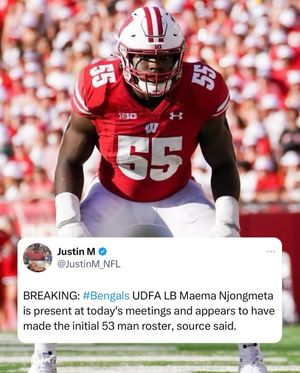 Image post by @rollbadgers on Instagram