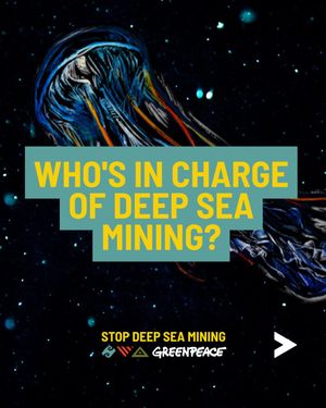 Image post by @greenpeace on Instagram