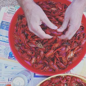 Image post by @lafishfry on Instagram