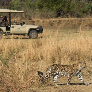 Image post by @chiawasafaris on Instagram