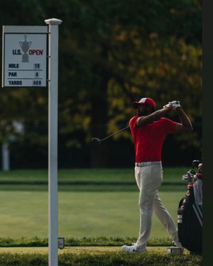 Image post by @tonyfinaugolf on Instagram