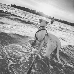 Image post by @visitsarasotacounty on Instagram