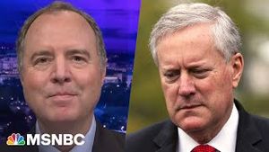 Video post by @msnbc on YouTube