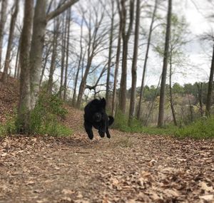 Image post by @nashthenewfie on Instagram