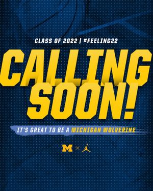 Image post by @umichwbball on Instagram
