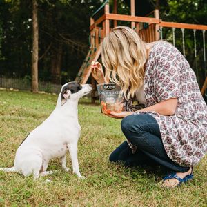 Image post by @evolvepetfood on Instagram