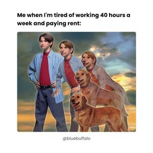Image post by @bluebuffalo on Instagram