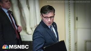 Video post by @msnbc on YouTube