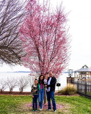 Image post by @samanthabusch on Instagram