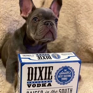 Image post by @dixievodka on Instagram