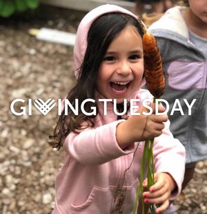 Image post by @kidsgardening on Instagram