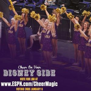 Image post by @lsutigergirls on Instagram