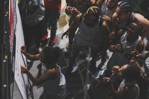 Image post by @uapblionswbb on Instagram