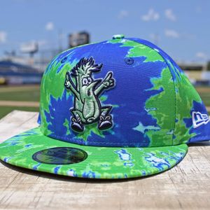 Image post by @wilmbluerocks on Instagram