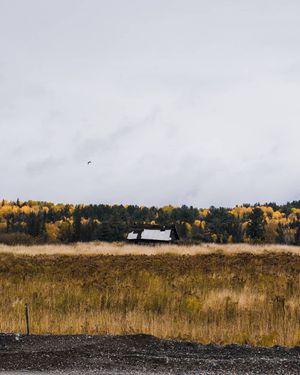 Image post by @dattmatt on Instagram