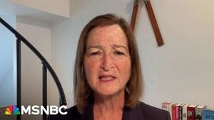 Video post by @msnbc on YouTube