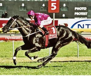 Image post by @australianturfclub on Instagram