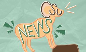 Image post by @csucollegian on Instagram