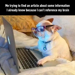 Image post by @9gag on Instagram