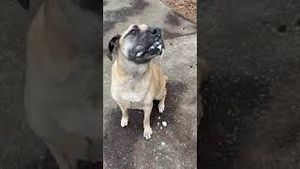 Video post by @livelikeroofoundation on YouTube