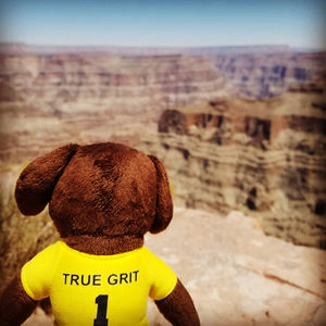 Image post by @umbclife on Instagram