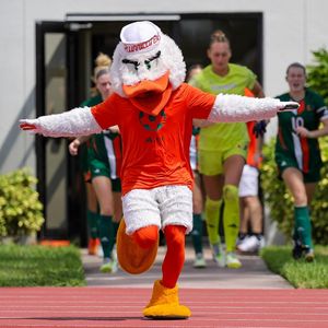 Image post by @um_sebastian on Instagram