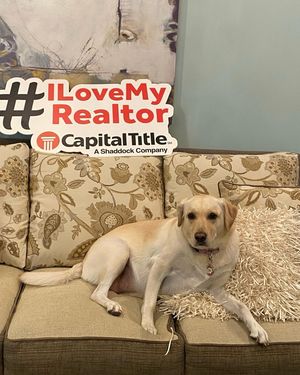 Image post by @capitaltitlelakeway on Instagram