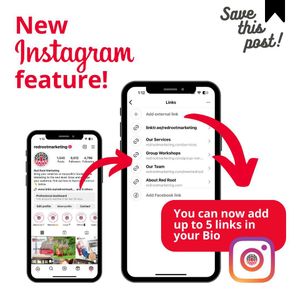 Image post by @redrootmarketing on Instagram