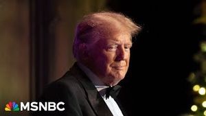 Video post by @msnbc on YouTube