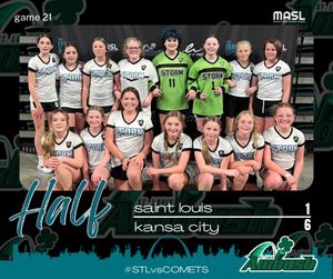 Image post by @stlouisambush on Instagram