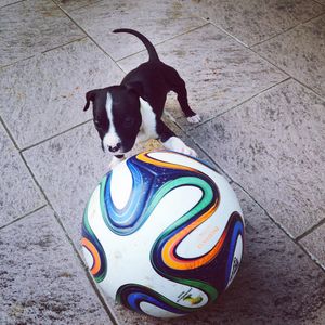 Image post by @ddwyer14 on Instagram