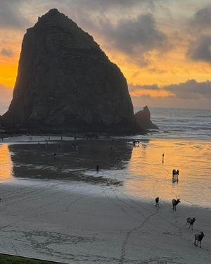 Image post by @theoregonian on Instagram