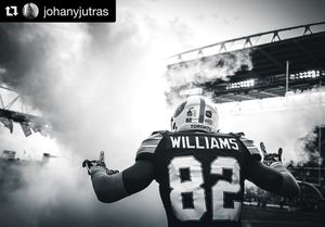 Image post by @torontoargos on Instagram