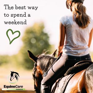 Image post by @equinecareprobiotic on Instagram