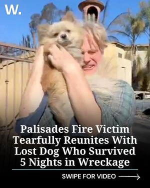 Image post by @thewrap on Instagram