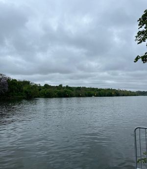 Image post by @stagsmensrowing on Instagram