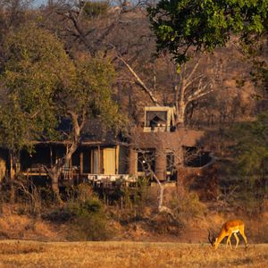 Image post by @chiawasafaris on Instagram