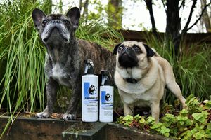 Image post by @equinecareprobiotic on Instagram