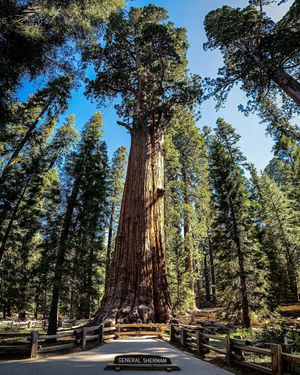 Image post by @nationalparkspartnership on Instagram