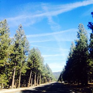 Image post by @nauflagstaff on Instagram
