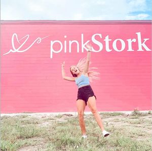 Image post by @pinkstork on Instagram