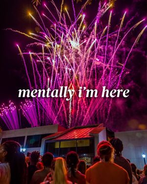 Video post by @uofscstudents on TikTok