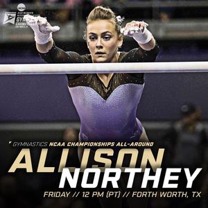 Image post by @uwgymnastics on Instagram